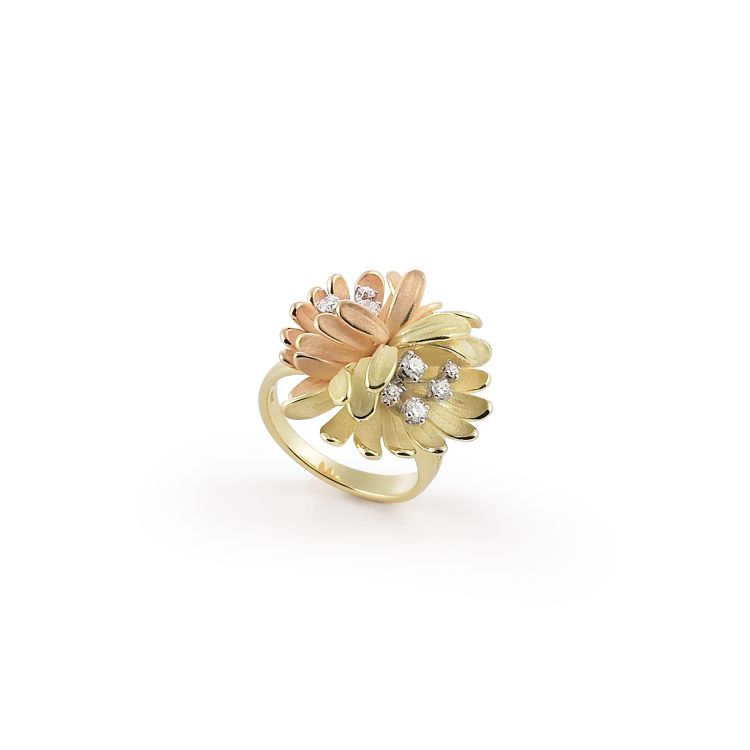 Anello Begonia