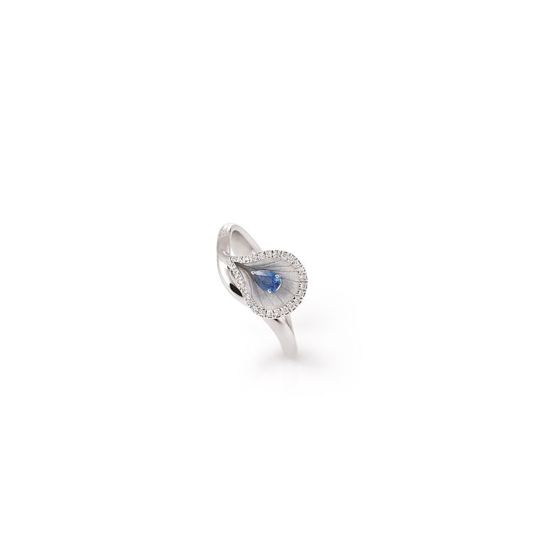 Anello Premiere Color