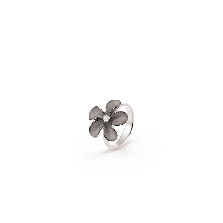 Ring Cherry Bloom