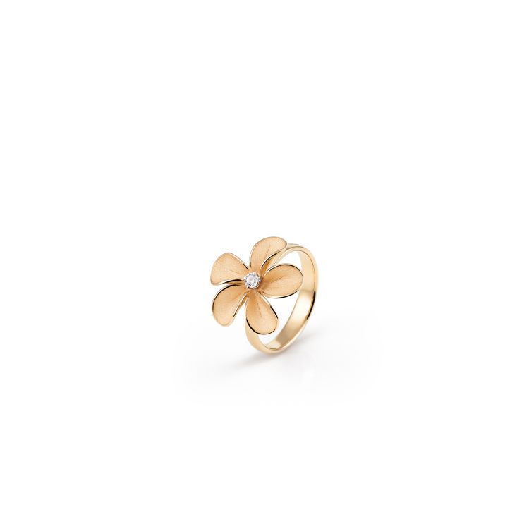 Ring Cherry Bloom