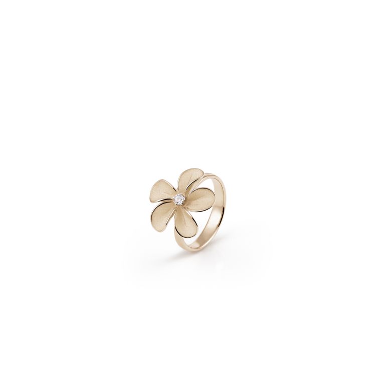 Ring Cherry Bloom