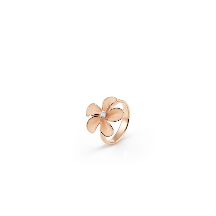 Ring Cherry Bloom