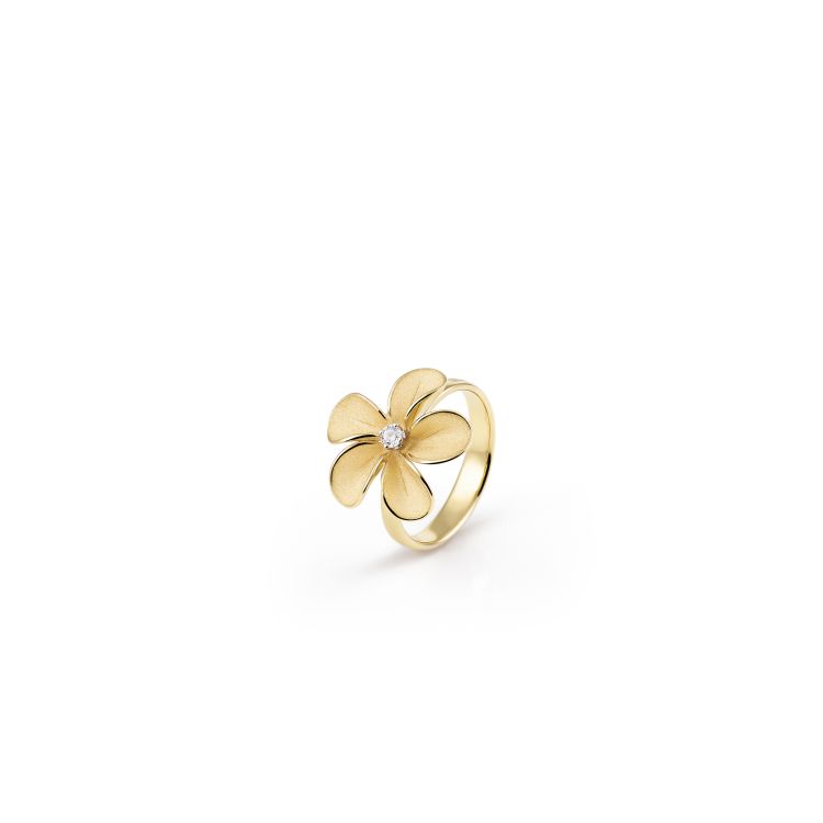 Ring Cherry Bloom