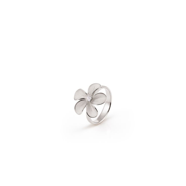 Ring Cherry Bloom