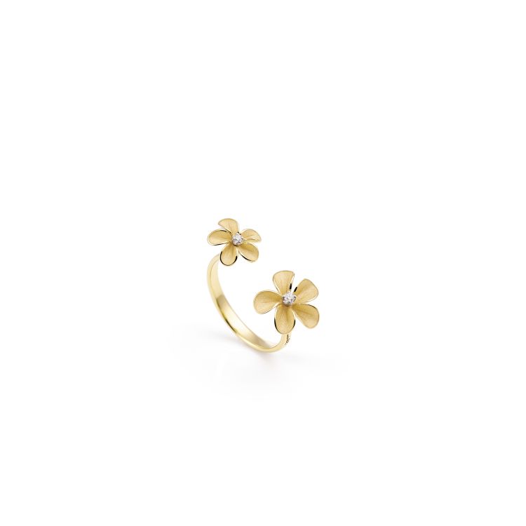 Ring Cherry Bloom