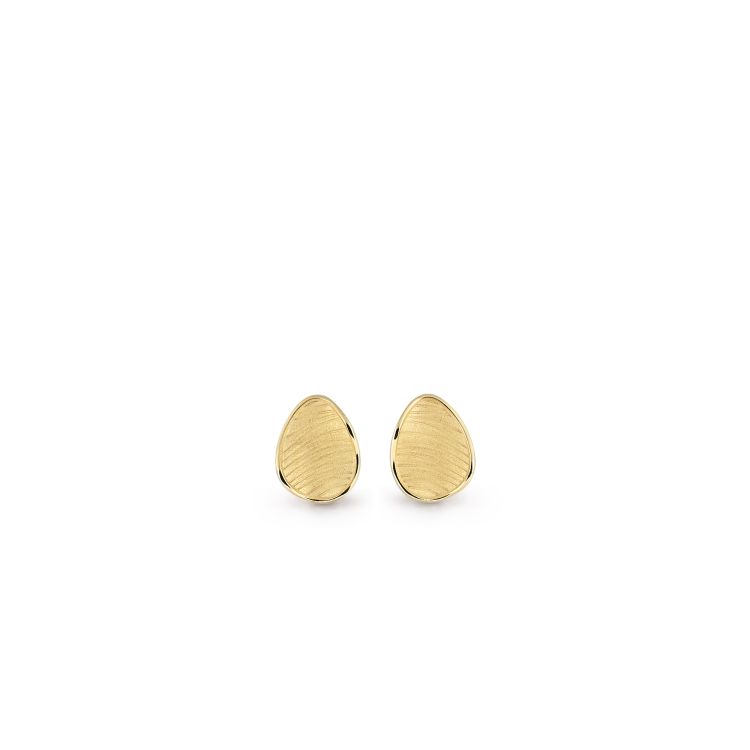 Earrings Velvet