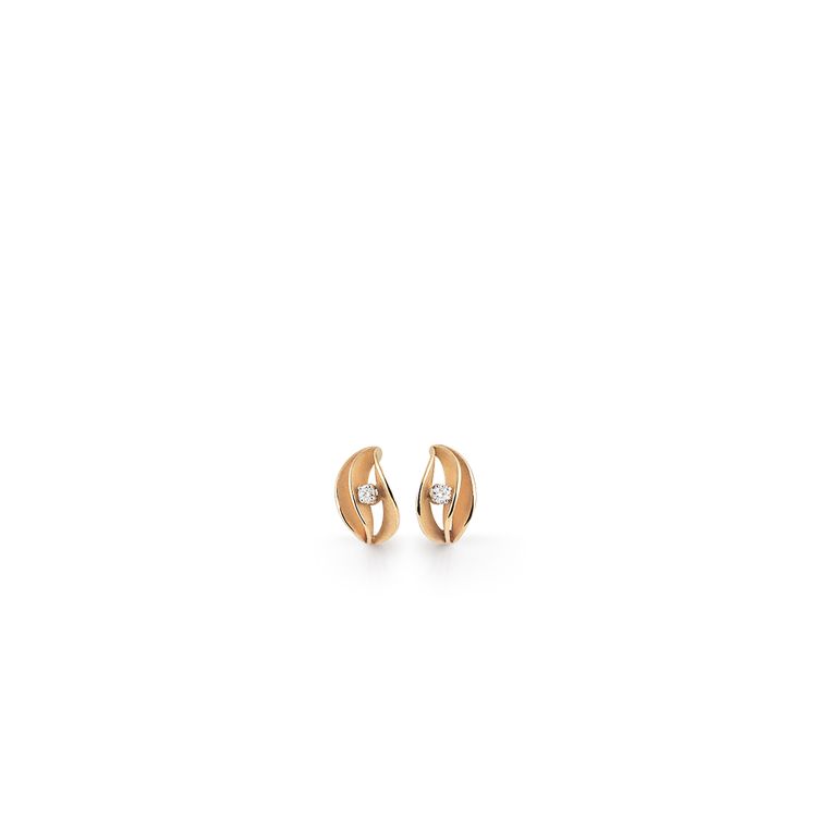 Earrings Velaa Star