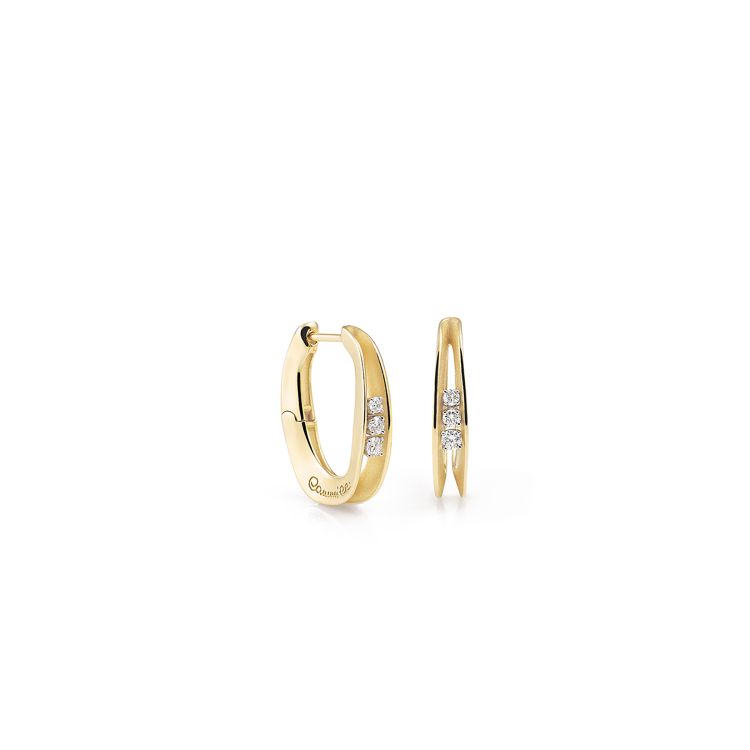 Earrings Dune